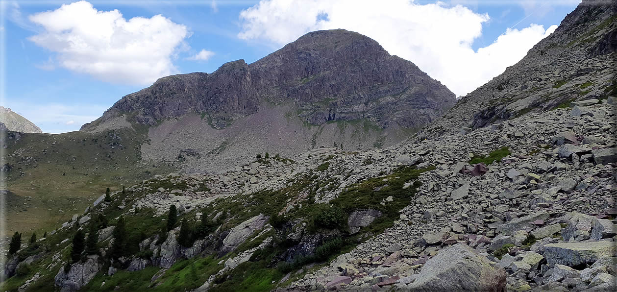 foto Forcella di Montalon